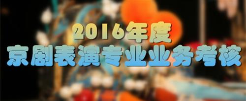 男生被艹视频国家京剧院2016年度京剧表演专业业务考...